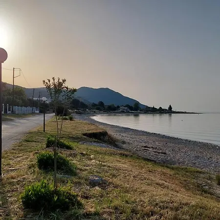 Dilyana 2 * Karianí